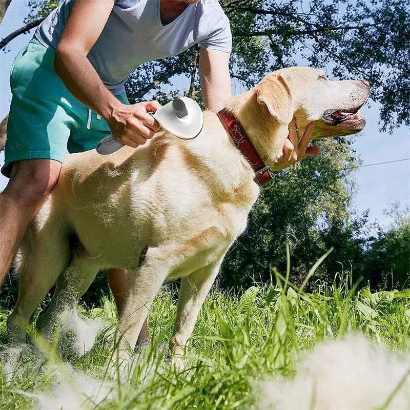 🐶 Cepillo Autolimpiable para Perros y Gatos | Elimina Pelo y Nudos Fácilmente
