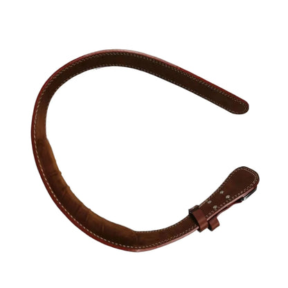 Cinturón de Levantamiento